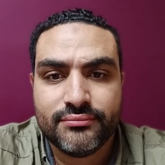 Hossam Hassan 239