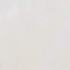 Alireza