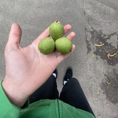 …