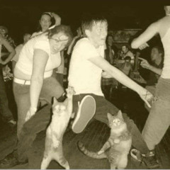 RaveOwl