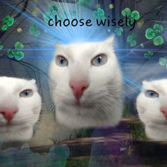 pussy magic