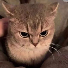 khôi