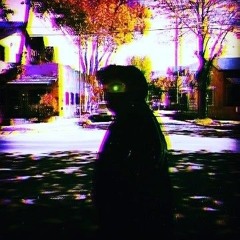 Flux Pavillion - Night Goes On