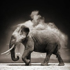 XXXTENTACION FAN (ayato shi)