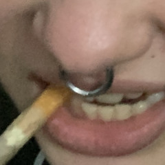 Puketa