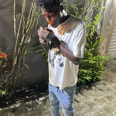 Monkey Fabe