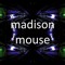 Madison Mouse