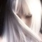 smokedfilleddream