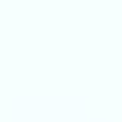User 81404529