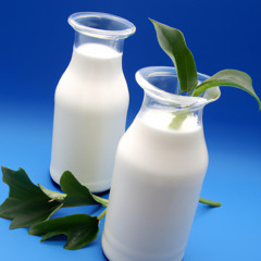 milkplant