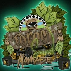 Xa Va "Forest Sound Nomade"🌳🦉🔥🌳🦌🌳🍄😎