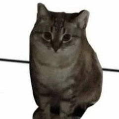 mr.конч