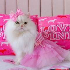 Læïnmë Tïönsçäs Gştääb