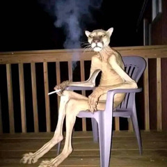 Long Skinny Nipplez
