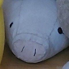 itsofficialyoboipgfnt (Pigfiniti)
