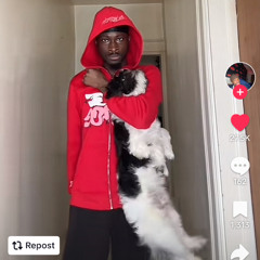 🫥