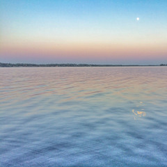 grayskaled