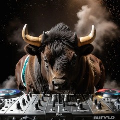 DJ Buffalo AKA Helge Binder -  HB-Mediatain Erwite