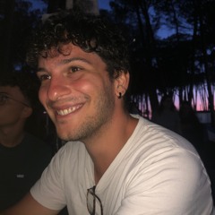 Niccolò A. Gossi