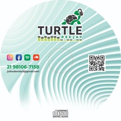 TURTLE DEEJAY