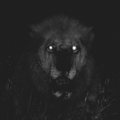 Real Twizzy Shit🧙‍♂️