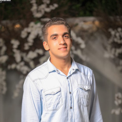 abo hesham