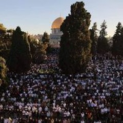 مَـريَـ𓂆ـمُ المِليجى💚