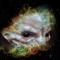 Radiative Collapse