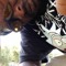 SK8L3Y