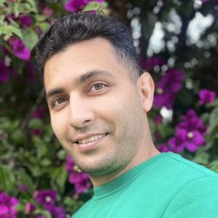 AMIN MOEINI