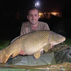 Matt White