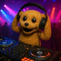 DJ Nookie