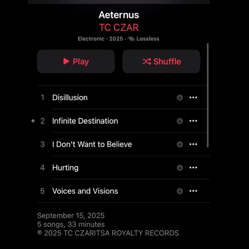 Track 1 Lost Signal
