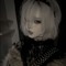 ny_gusek