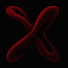 XAYNE