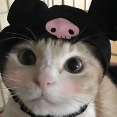 666