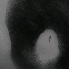 Ronald Mosquera.