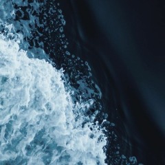 Mxivy 白雪 🌊