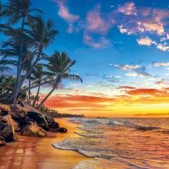 Dreams In Paradise