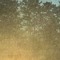 Preservations