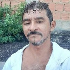 José Domingues Da Silva Filho Silva
