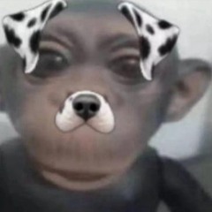 kaydrjc