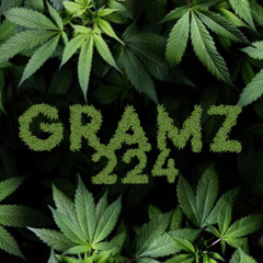 Gramz 224