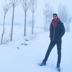 hamid eini