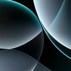 LONELY CIRCLES