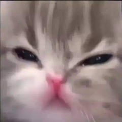 Danhsfs