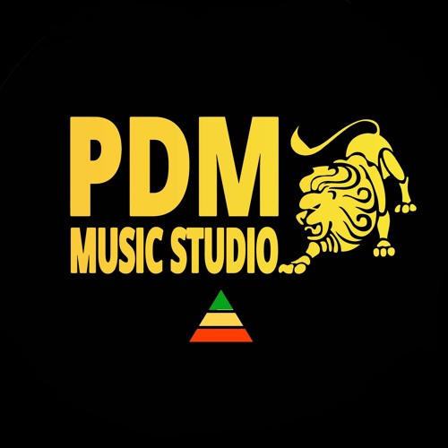 pdmmusicstudio.com’s avatar