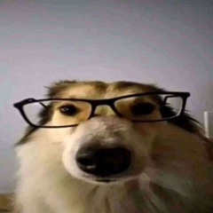 Aoo