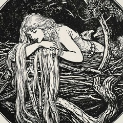 Aristolochia