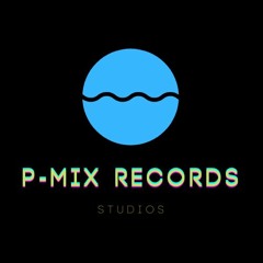 Dj P-Mix Records
